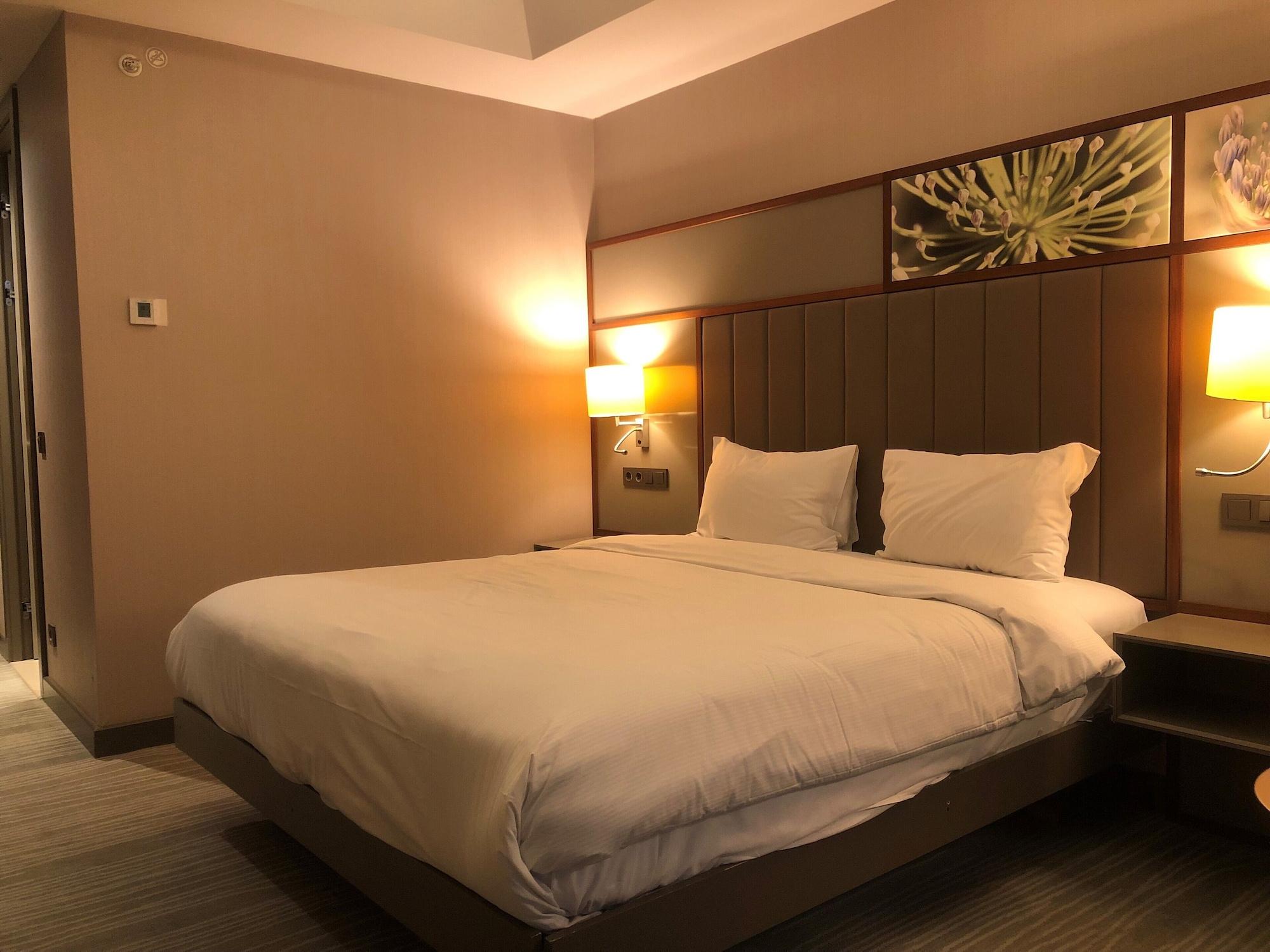 Hilton Garden Inn Istanbul Atatuerk Airport Экстерьер фото